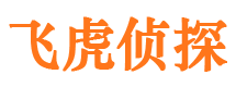 峄城市私家侦探